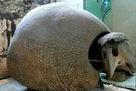 小伙野外钓鱼，发现一个山洞很奇怪，走近一看赶紧报警图片