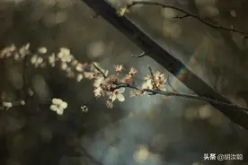 互粉，没有意义，教你如何涨粉！胡汝聪谈自媒体图片