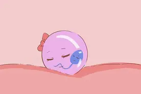 移植后的14天里，胚胎都经历了什么？图片