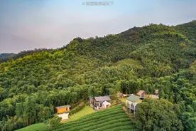 在莫干山除了民宿，还有久祺雷迪森庄园，山顶帐篷下午茶太棒图片