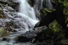 深圳一次组织最多人的户外团队，登顶打卡十峰之首梧桐山。图片