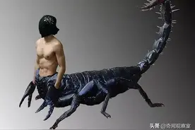 万字解析日本酒鬼蔷薇事件，14岁孩子的行为令人发指图片