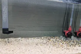 1米2的鱼缸用多少瓦的水泵，1米2的鱼缸用多大的水泵图片