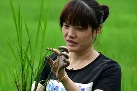 我在窗口写青春丨新青年故事⑨——开拖拉机的浙大姑娘 广袤田地追逐梦想图片