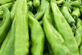 青椒1块多1斤，买上10斤腌起来，酸辣脆爽，好吃无添加，久放不坏图片