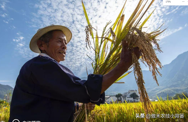 鍚屾牱鏄爱鑲ワ紝灏跨礌銆佺⒊閾点€佹隘鍖栭摰銆佺閰搁摰绛夊浣曟纭寫閫変笌浣跨敤锛? onerror=