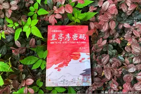 《兰亭序密码》：悬念满满，我没猜到开头，也猜不中结尾图片