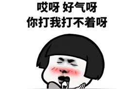 官方还不如民间？好好的一个任天堂游戏，译名太烂被网友吐槽成屎图片