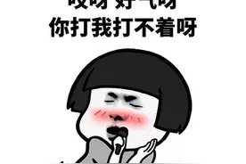 官方还不如民间？好好的一个任天堂游戏，译名太烂被网友吐槽成屎图片