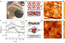 人造膜Nature Nanotechnology两连击图片