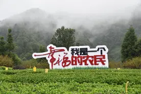 农村改革“试验田”湄潭“试”得怎么样了——一个西部农业县以改革促进乡村振兴观察图片