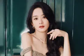 单身后的赵丽颖也放开了，穿豹纹抹胸裙身材饱满，气质改变不少图片