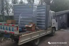 炎炎夏季，鸭子怎么养？图片