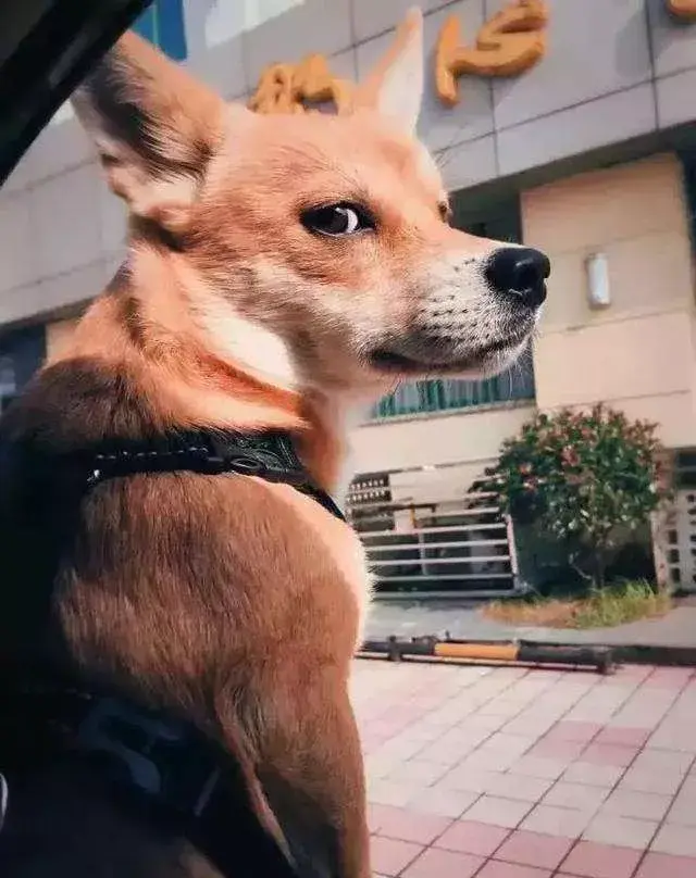 л԰Ȯֵжߣ