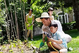 我们一起来种菜——司马光小镇君实菜园开园啦！图片
