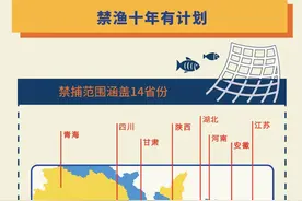 一图读懂 | 十年禁渔显成效，禁渔规定知多少？图片