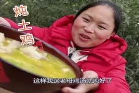 胖妹用土灶炖个老母鸡，散养的就是好，汤黄亮黄亮的，鸡肉也不柴图片