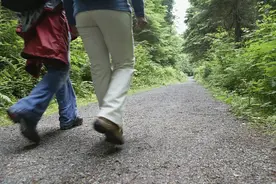 每天“日行一万步”，到底是健身还是伤膝盖？看看专业的解释吧图片