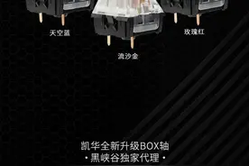黑峡谷独家代理 一亿次超长寿命BOX轴新轴来了图片