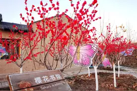 拥抱春天！“乡”约廊坊，“醉”美桃花等你来赏！图片