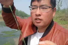 详解离底钓和打浮使用条件与技巧，让你这个夏季照样渔获满满！图片