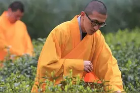 中国茶道的四大流派图片