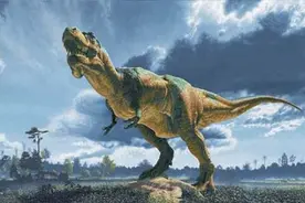 比恐龙更可怕9种动物，发起飙来，它能杀死霸王龙图片