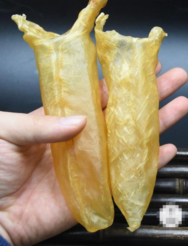 人参香菇花胶汤 2026年人参炖花胶