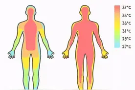 不足37℃！科学家发现人体温度正在下降，原因是什么？图片