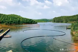 「加“油”广东渔业」河源：加快发展绿色渔业图片