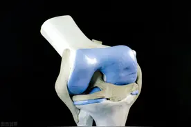 保护膝关节有个黄金期，及早应用结晶硫酸氨糖，延长膝盖“寿命”图片