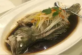 鳜鱼的养殖技术一图片