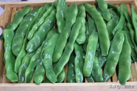 油豆角好吃但不好保存，老农教您一招，放几个月不坏，炖肉真好吃图片