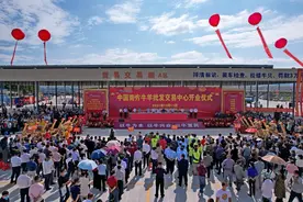 中国南方牛羊批发交易中心开业 助力广西忻城县乡村振兴图片