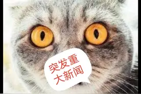 中国驻休斯敦总领事馆简介图片