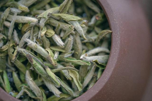 白茶茶汤里小气泡久久不散，说明茶汤有什么特质？