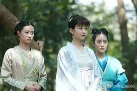 知否原著：王老夫人替康姨母讲情，长柏顾廷烨一唱一和大快人心！图片