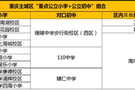 实用！重庆主城九区，学区房避坑指南图片