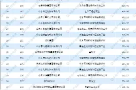 山东炼油企业现状如何发展，如何破解问题图片