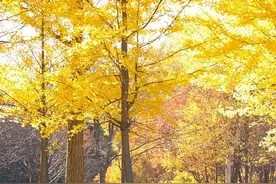 畅游系列 丨五一农场“放松之旅”攻略在此，众多品质景点等你打卡体验！图片