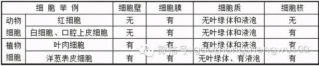高中生物：易错易混知识点对比，搞懂别再错啦
