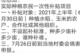 广西种粮户，赶快申领您的种田补贴图片