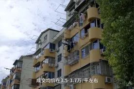 上海外环外的嘉定南翔，藏着500万以内「最体面」的生活图片