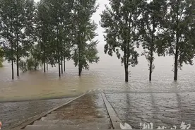 遭遇全市最大降雨量，江夏区全力应对图片