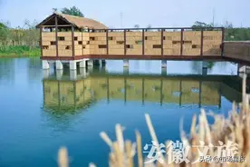 打卡地 | 祥源星球花园：寻找童趣的“梦幻王国”图片