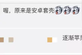 Windows 11成上班摸鱼利器，微软CEO喊话苹果：欢迎引入iMessage图片