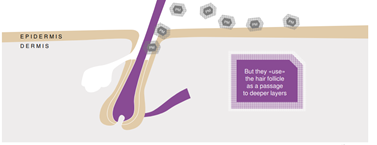 资深成分党口中万能的依克多因，到底是真香还是炒作？