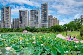 中国城市绿化最好的大城市，江西境内排第一，有处公园在商业中心图片