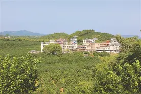 容县农村住房大变样图片