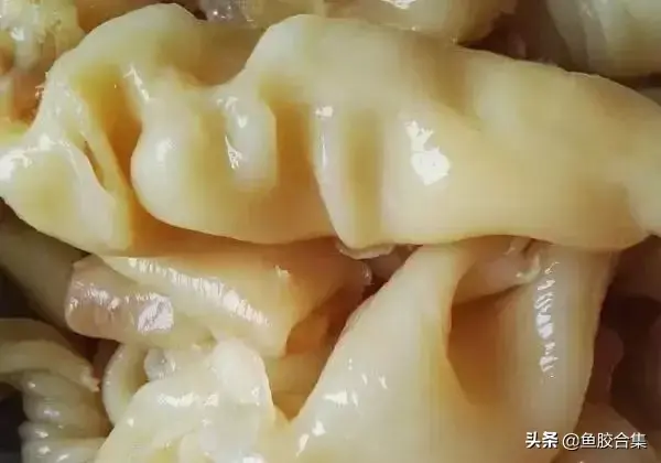 花胶只喝汤 花胶只喝汤有效果吗